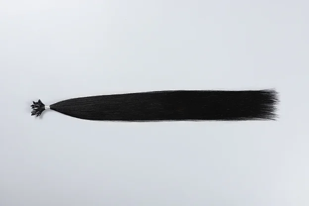 V Tip
